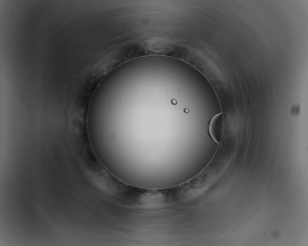 X0000103490271200809121721