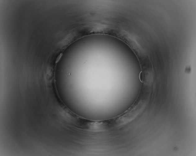 X0000103490273200809121721