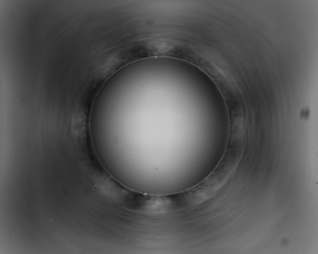 X0000103490274200809121721