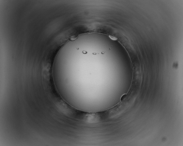 X0000103490275200809121721