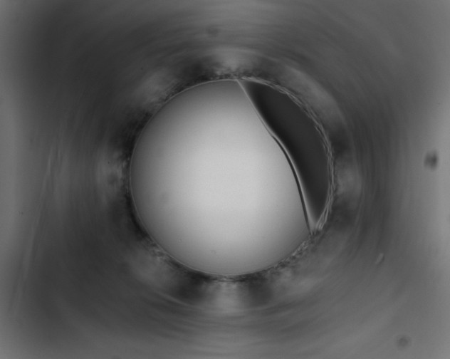 X0000103490276200809121721