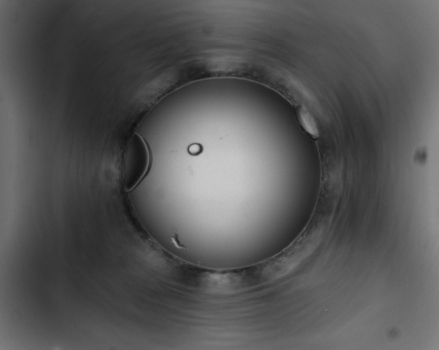 X0000103490277200809121721