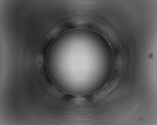 X0000103490278200809121721