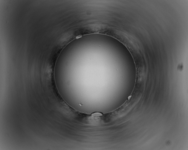 X0000103490279200809121722