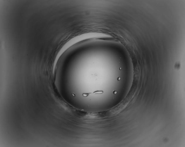 X0000103490280200809121722