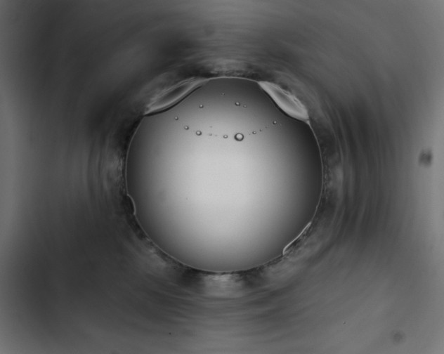 X0000103490281200809121722