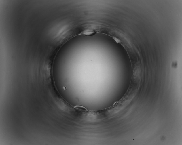 X0000103490282200809121722