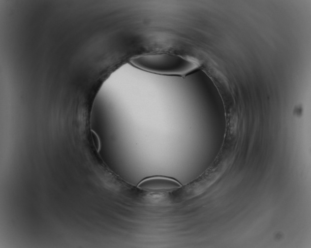 X0000103490283200809121722