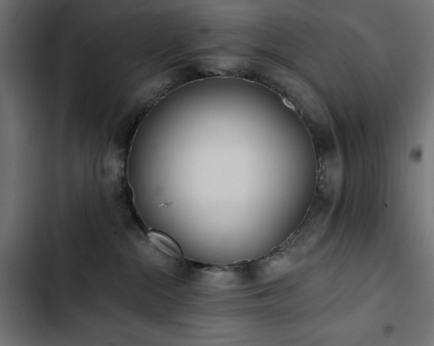 X0000103490284200809121722