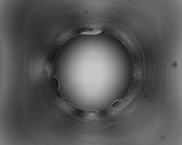 X0000103490285200809121722