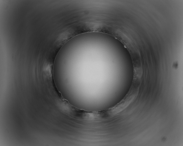 X0000103490286200809121722