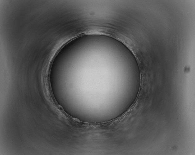 X0000103490289200809121721