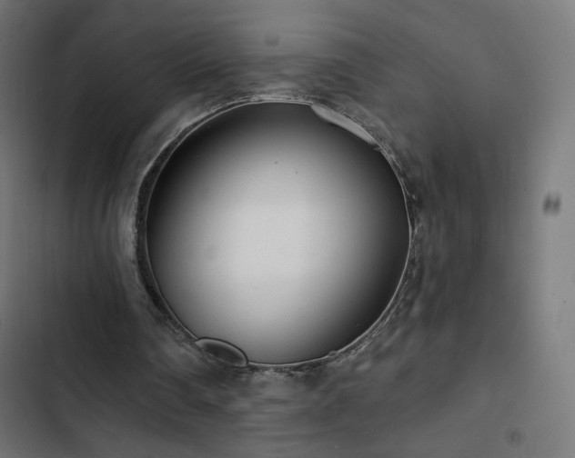 X0000103490290200809121721