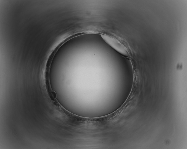 X0000103490292200809121721