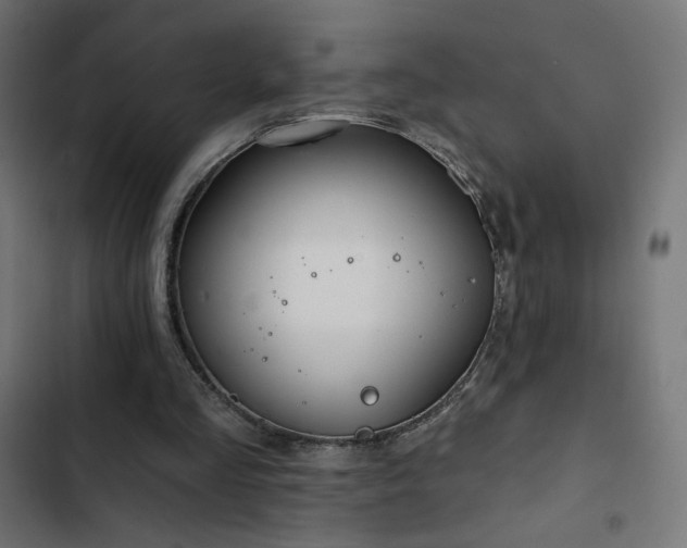 X0000103490293200809121721