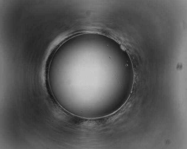 X0000103490294200809121721