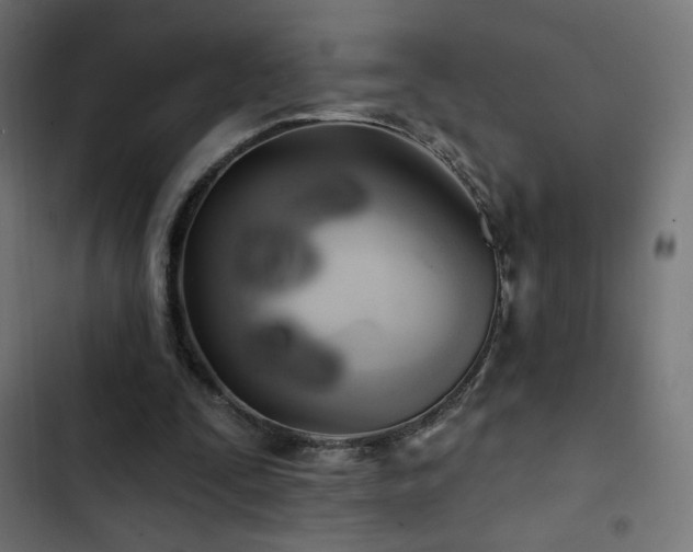 X0000103490295200809121721