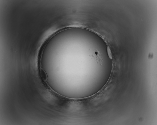 X0000103490296200809121721