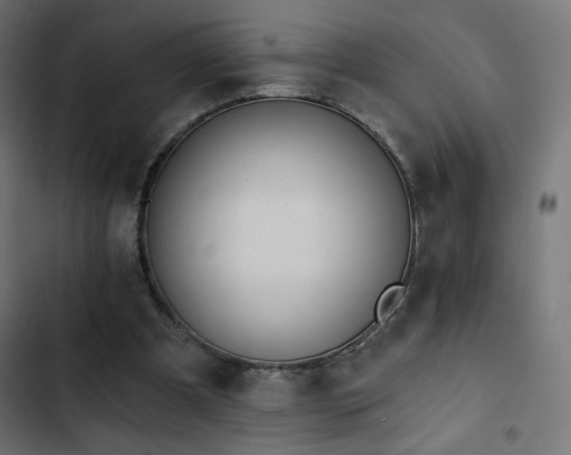 X0000103490297200809121721