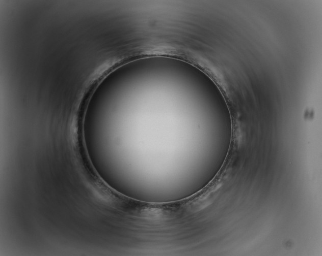 X0000103490298200809121721