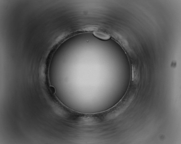 X0000103490300200809121721