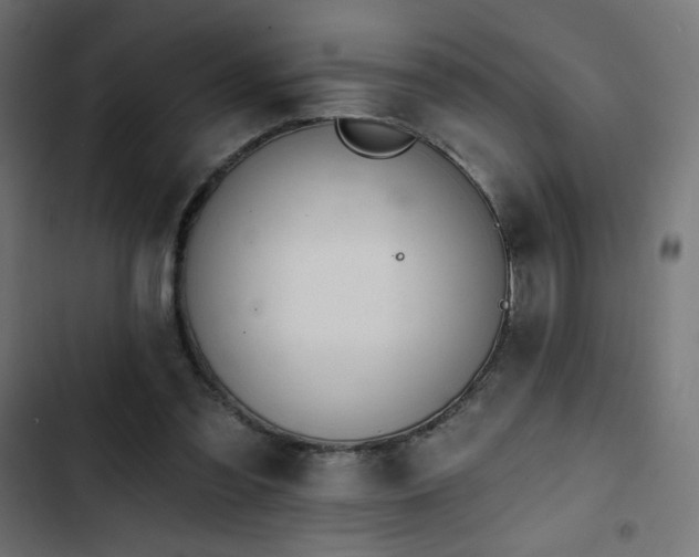 X0000103490301200809121721