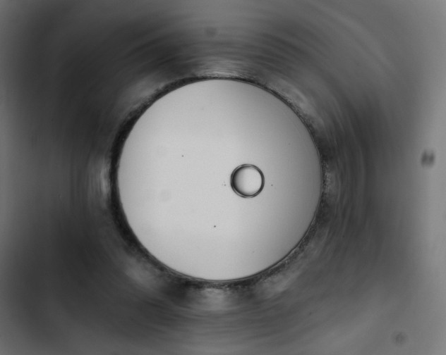 X0000103490302200809121721