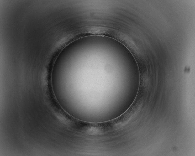 X0000103490303200809121721