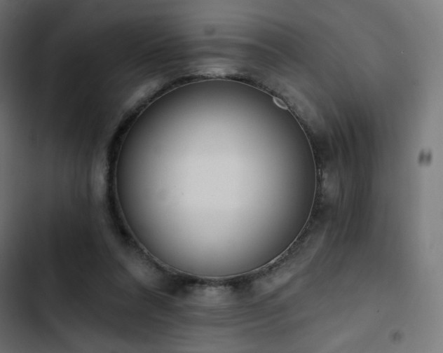 X0000103490304200809121721