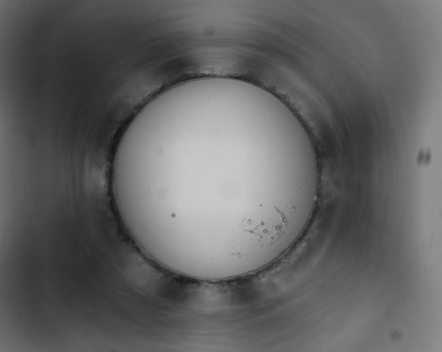 X0000103490305200809121721