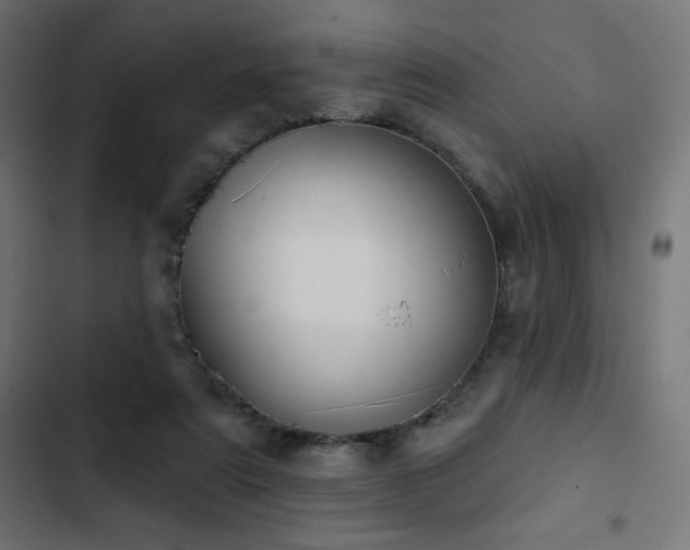 X0000103490307200809121721