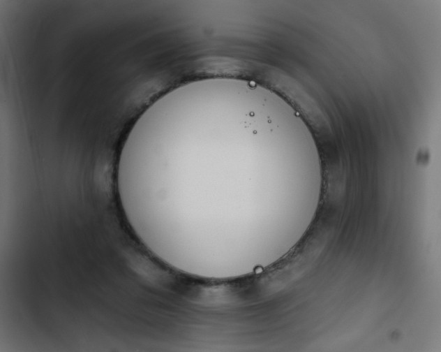 X0000103490309200809121721