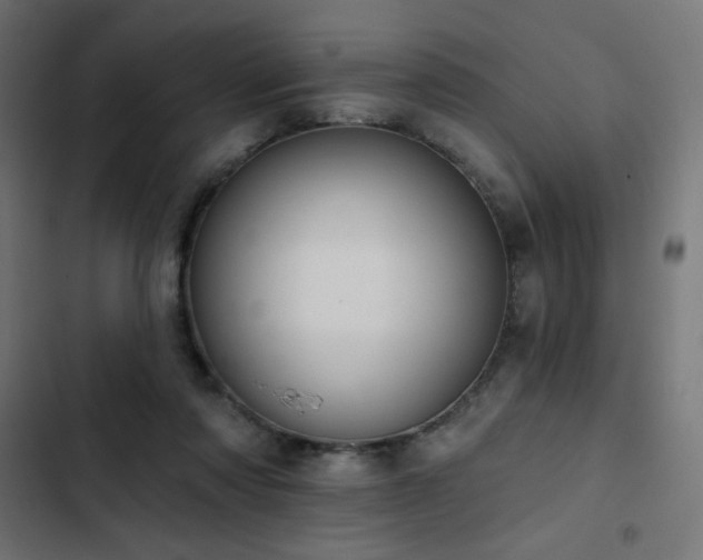 X0000103490310200809121721