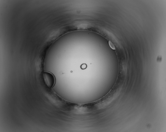 X0000103490311200809121721