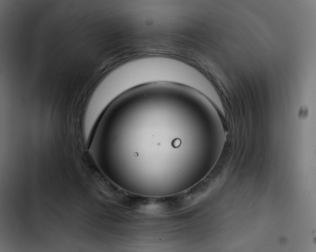 X0000103490312200809121721