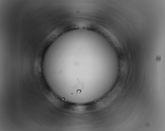 X0000103490313200809121721