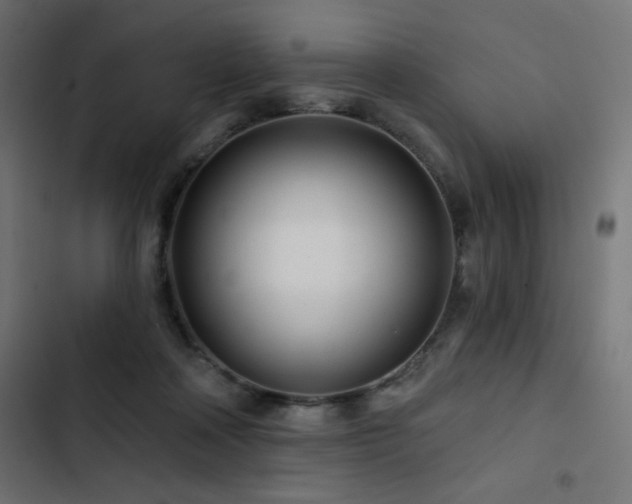 X0000103490314200809121721