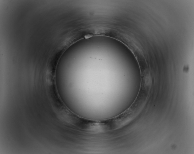 X0000103490316200809121721