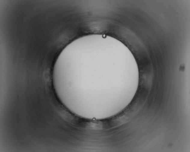 X0000103490317200809121721