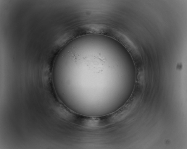 X0000103490318200809121721