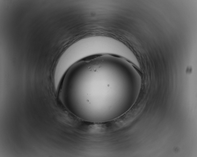 X0000103490320200809121721