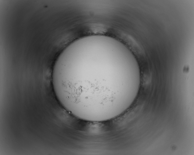 X0000103490321200809121721