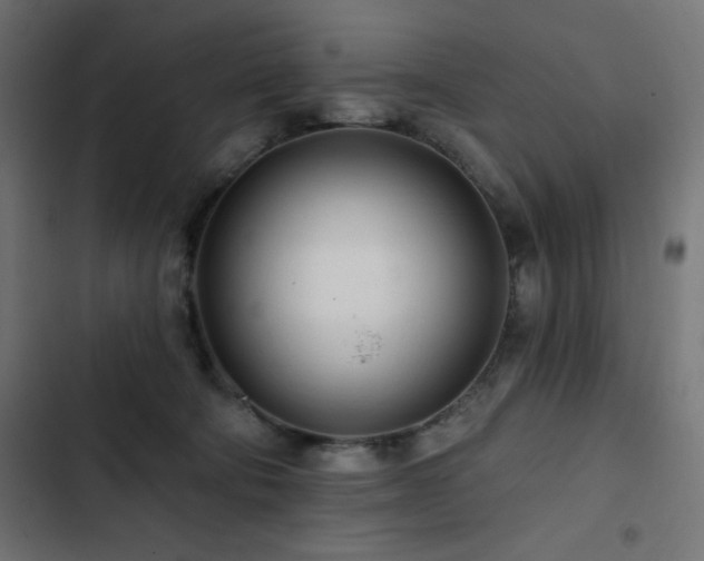 X0000103490322200809121721