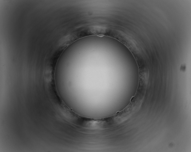 X0000103490323200809121721