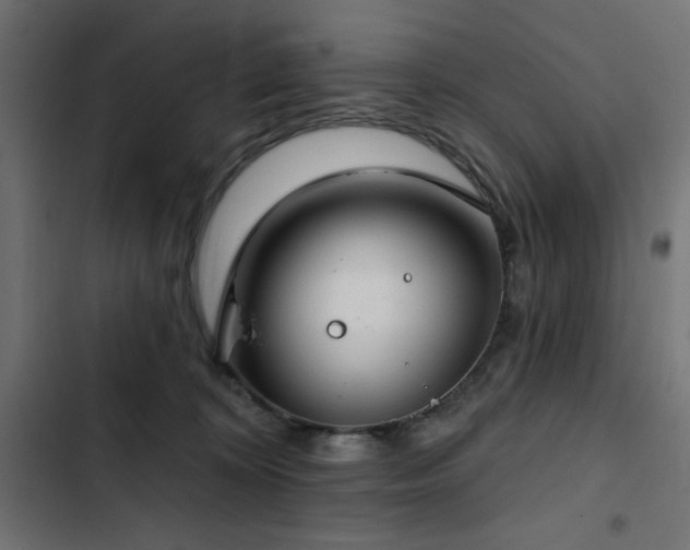 X0000103490324200809121720