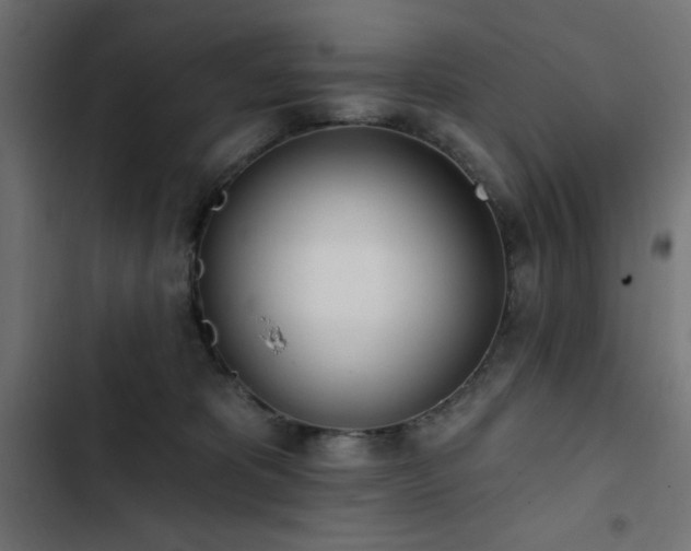 X0000103490325200809121720