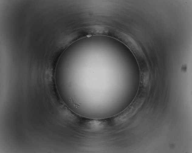 X0000103490326200809121720