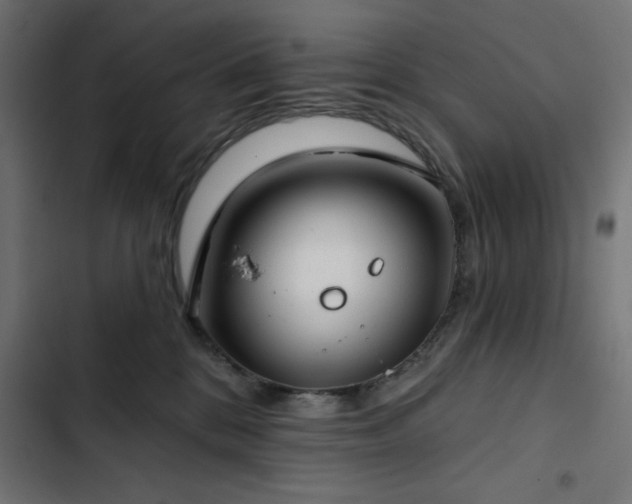 X0000103490328200809121720