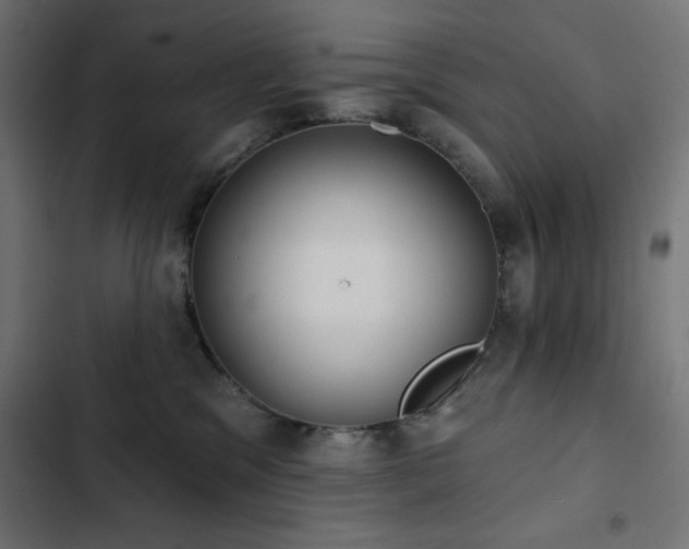 X0000103490329200809121720