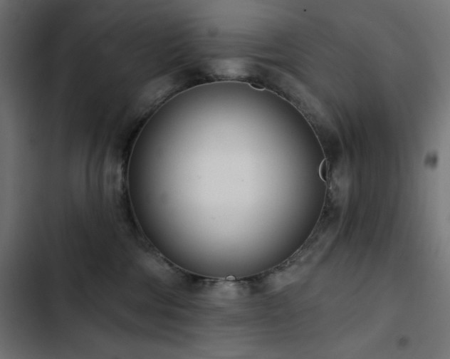 X0000103490330200809121720